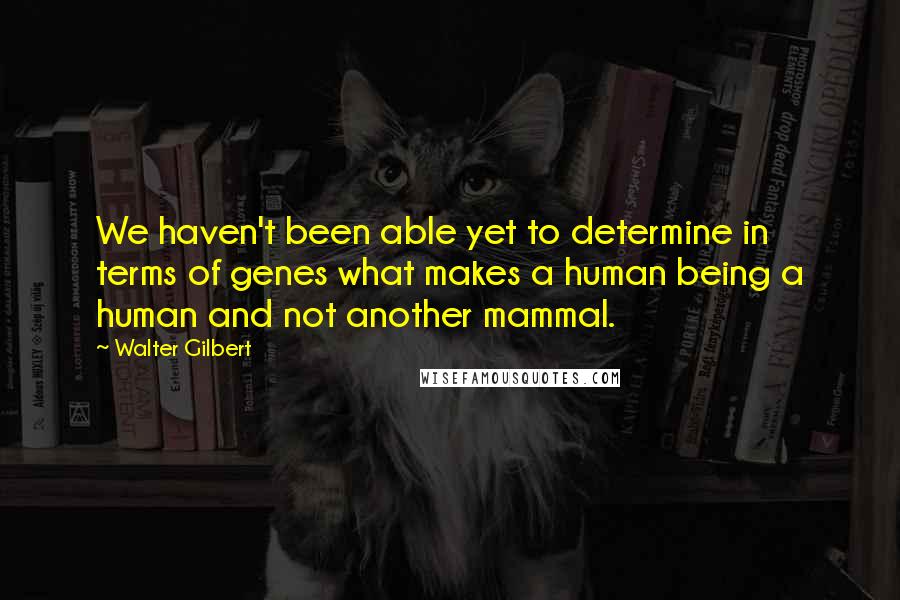 Walter Gilbert Quotes: We haven't been able yet to determine in terms of genes what makes a human being a human and not another mammal.