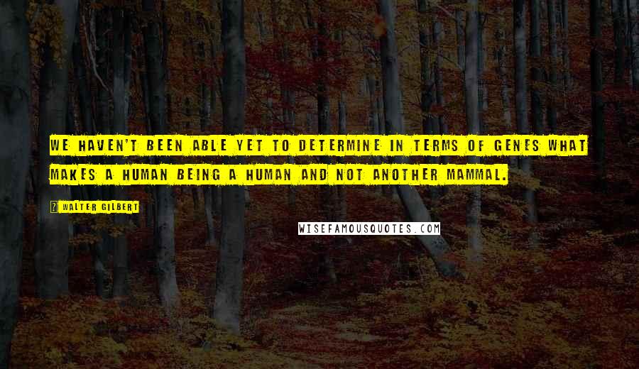 Walter Gilbert Quotes: We haven't been able yet to determine in terms of genes what makes a human being a human and not another mammal.