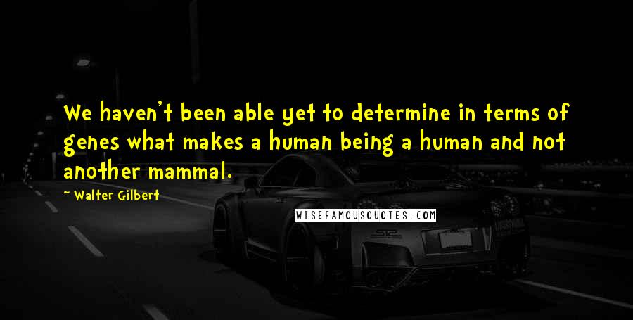 Walter Gilbert Quotes: We haven't been able yet to determine in terms of genes what makes a human being a human and not another mammal.