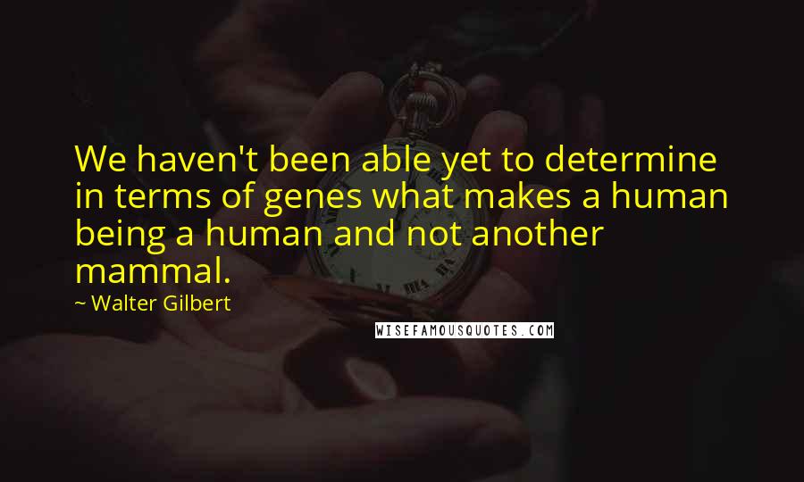 Walter Gilbert Quotes: We haven't been able yet to determine in terms of genes what makes a human being a human and not another mammal.