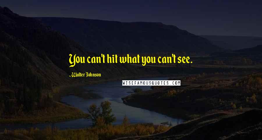 Walter Johnson Quotes: You can't hit what you can't see.