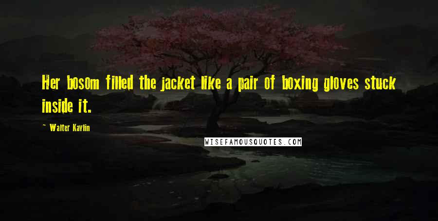 Walter Kaylin Quotes: Her bosom filled the jacket like a pair of boxing gloves stuck inside it.