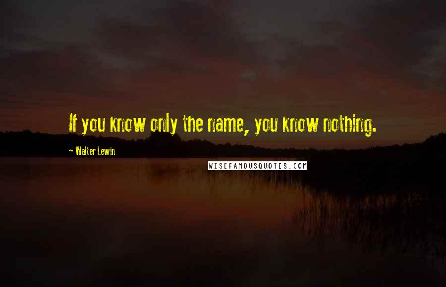 Walter Lewin Quotes: If you know only the name, you know nothing.