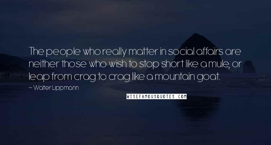 Walter Lippmann Quotes: The people who really matter in social affairs are neither those who wish to stop short like a mule, or leap from crag to crag like a mountain goat.