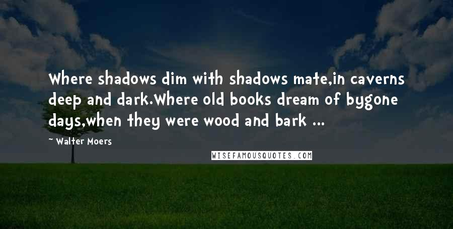 Walter Moers Quotes: Where shadows dim with shadows mate,in caverns deep and dark.Where old books dream of bygone days,when they were wood and bark ...