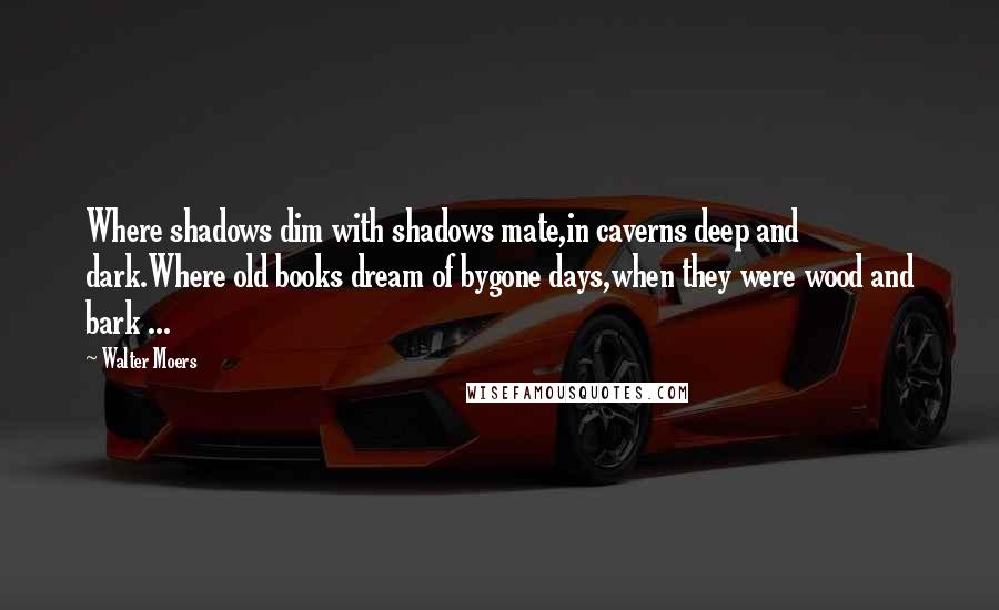 Walter Moers Quotes: Where shadows dim with shadows mate,in caverns deep and dark.Where old books dream of bygone days,when they were wood and bark ...