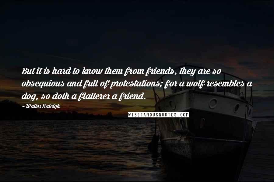 Walter Raleigh Quotes: But it is hard to know them from friends, they are so obsequious and full of protestations; for a wolf resembles a dog, so doth a flatterer a friend.