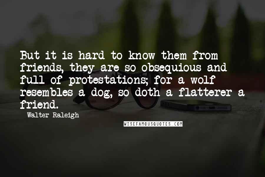 Walter Raleigh Quotes: But it is hard to know them from friends, they are so obsequious and full of protestations; for a wolf resembles a dog, so doth a flatterer a friend.