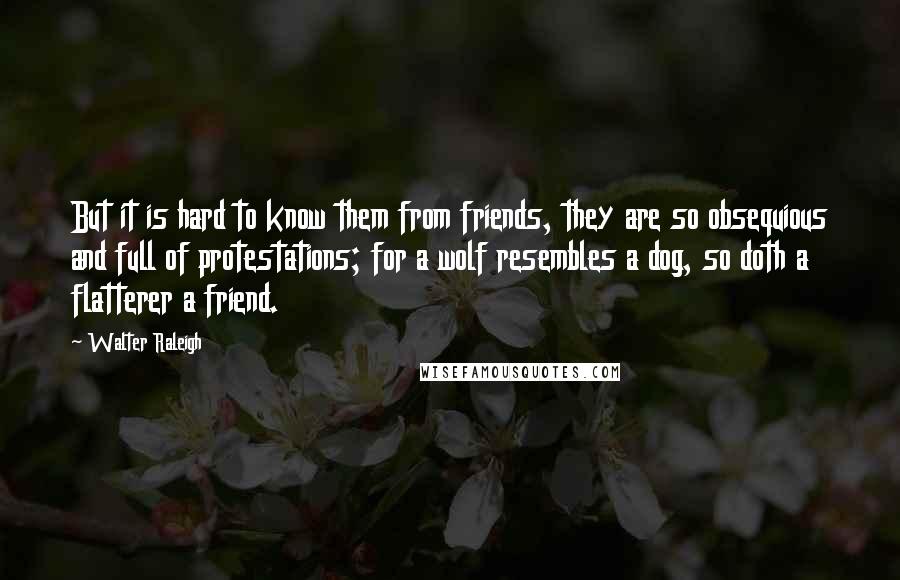 Walter Raleigh Quotes: But it is hard to know them from friends, they are so obsequious and full of protestations; for a wolf resembles a dog, so doth a flatterer a friend.