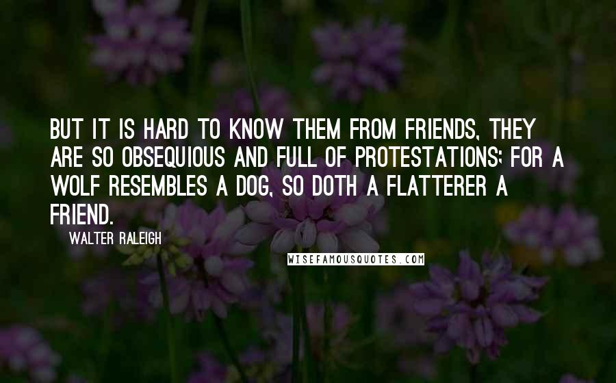 Walter Raleigh Quotes: But it is hard to know them from friends, they are so obsequious and full of protestations; for a wolf resembles a dog, so doth a flatterer a friend.