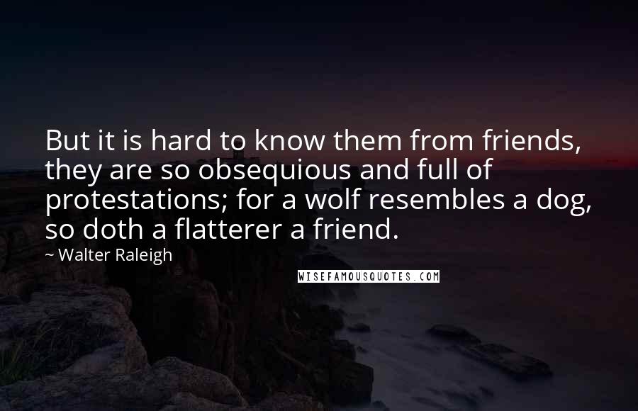 Walter Raleigh Quotes: But it is hard to know them from friends, they are so obsequious and full of protestations; for a wolf resembles a dog, so doth a flatterer a friend.