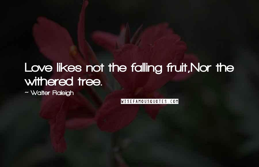 Walter Raleigh Quotes: Love likes not the falling fruit,Nor the withered tree.