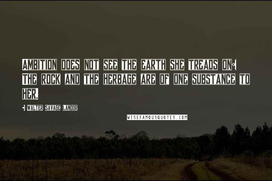 Walter Savage Landor Quotes: Ambition does not see the earth she treads on: The rock and the herbage are of one substance to her.