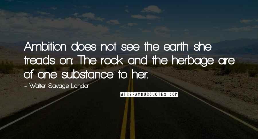 Walter Savage Landor Quotes: Ambition does not see the earth she treads on: The rock and the herbage are of one substance to her.