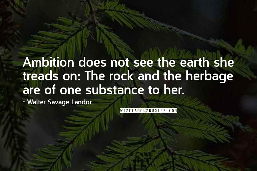 Walter Savage Landor Quotes: Ambition does not see the earth she treads on: The rock and the herbage are of one substance to her.