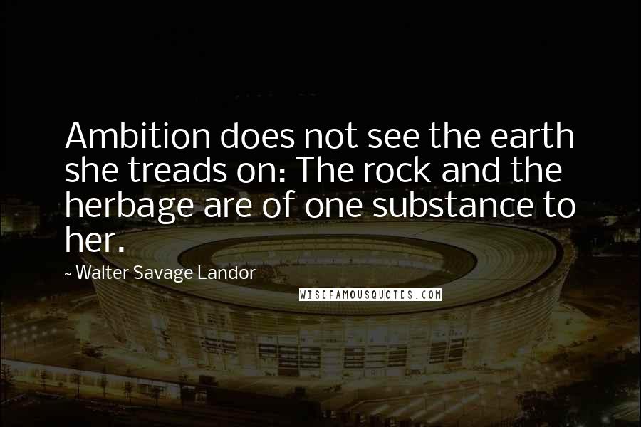 Walter Savage Landor Quotes: Ambition does not see the earth she treads on: The rock and the herbage are of one substance to her.