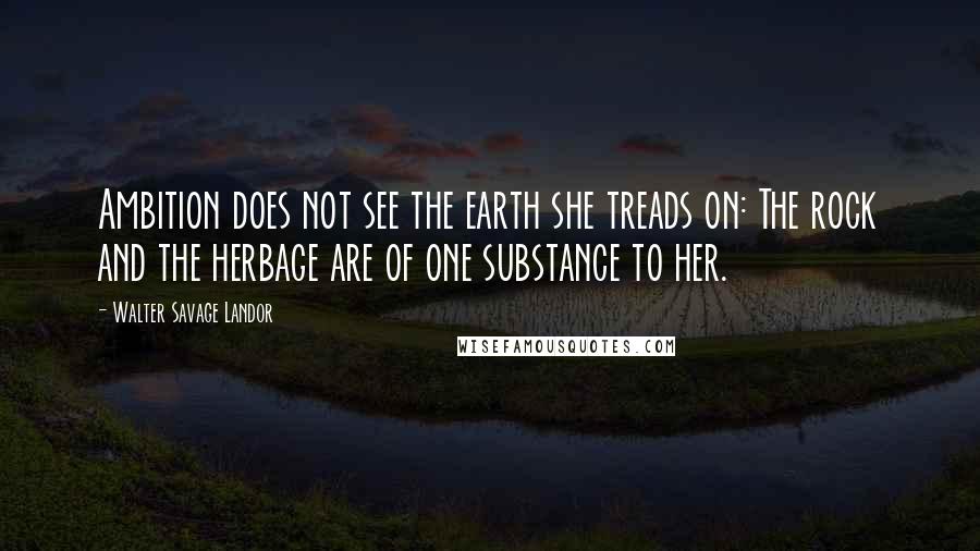 Walter Savage Landor Quotes: Ambition does not see the earth she treads on: The rock and the herbage are of one substance to her.