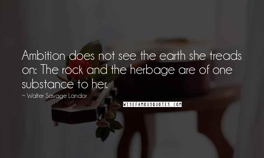 Walter Savage Landor Quotes: Ambition does not see the earth she treads on: The rock and the herbage are of one substance to her.