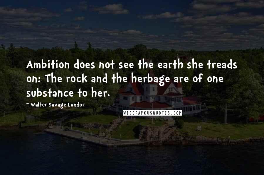 Walter Savage Landor Quotes: Ambition does not see the earth she treads on: The rock and the herbage are of one substance to her.