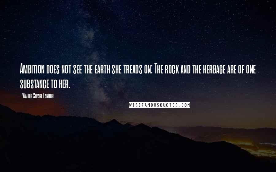 Walter Savage Landor Quotes: Ambition does not see the earth she treads on: The rock and the herbage are of one substance to her.