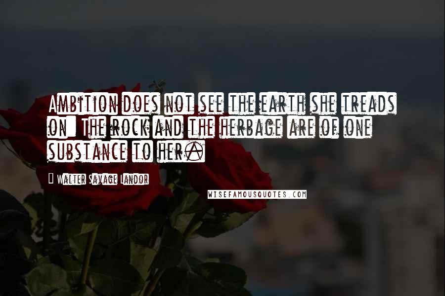 Walter Savage Landor Quotes: Ambition does not see the earth she treads on: The rock and the herbage are of one substance to her.