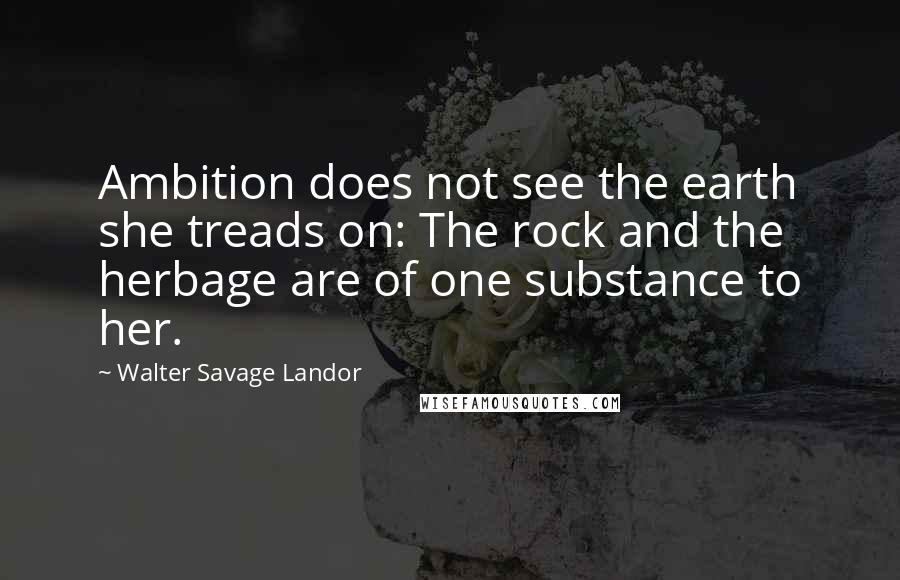 Walter Savage Landor Quotes: Ambition does not see the earth she treads on: The rock and the herbage are of one substance to her.