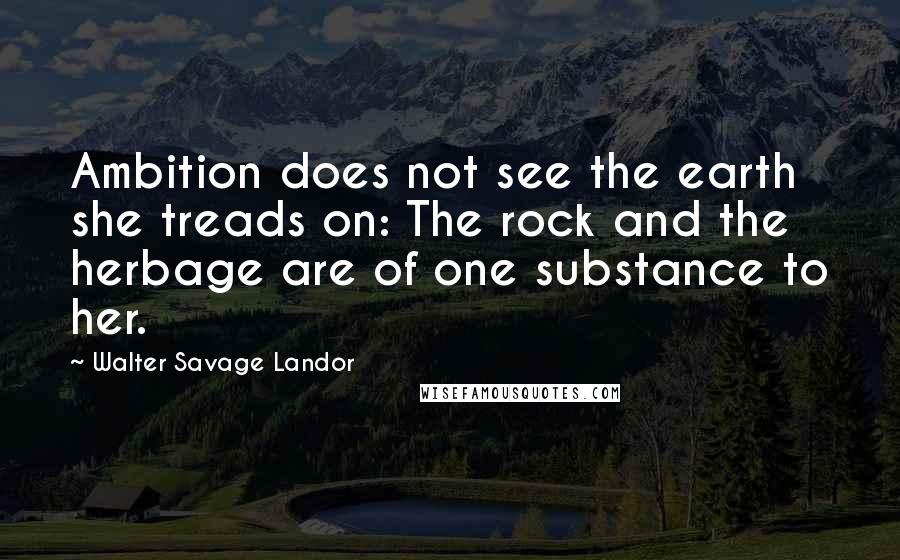 Walter Savage Landor Quotes: Ambition does not see the earth she treads on: The rock and the herbage are of one substance to her.