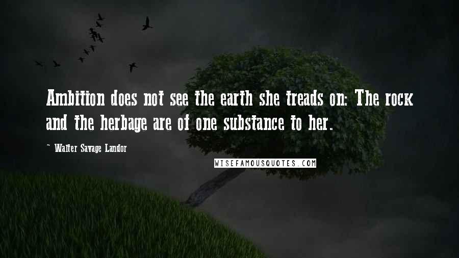 Walter Savage Landor Quotes: Ambition does not see the earth she treads on: The rock and the herbage are of one substance to her.