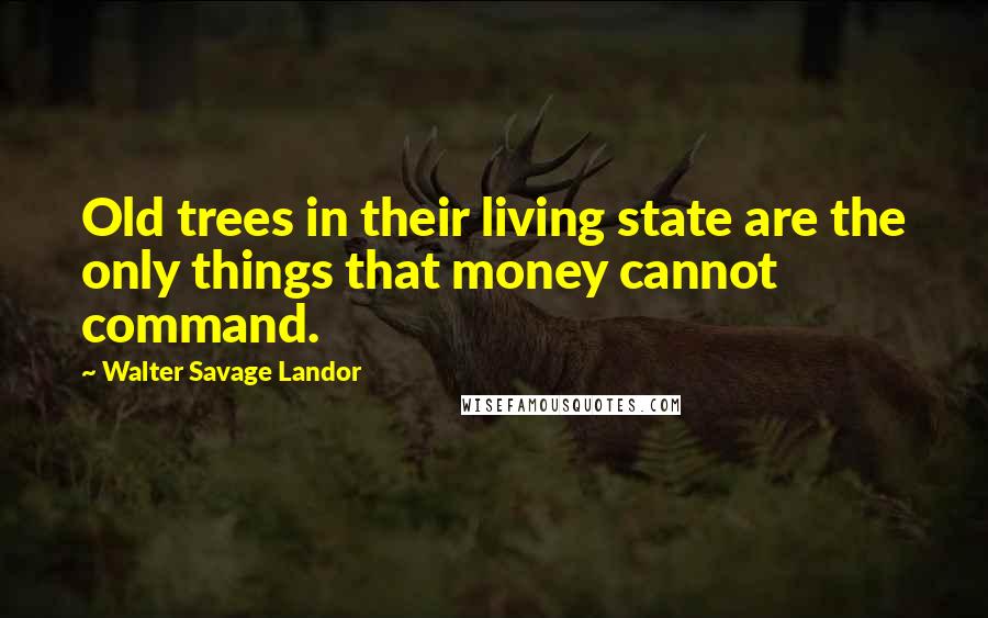 Walter Savage Landor Quotes: Old trees in their living state are the only things that money cannot command.