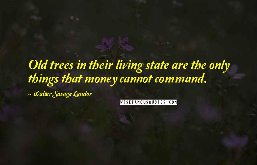 Walter Savage Landor Quotes: Old trees in their living state are the only things that money cannot command.