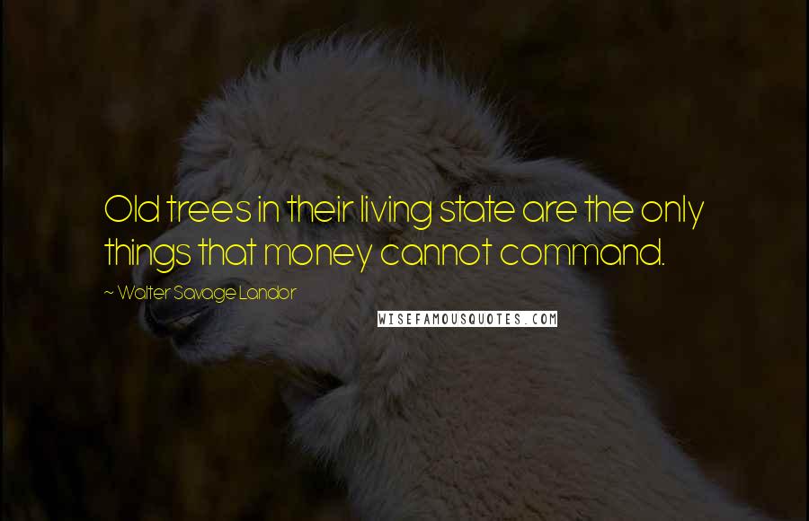 Walter Savage Landor Quotes: Old trees in their living state are the only things that money cannot command.