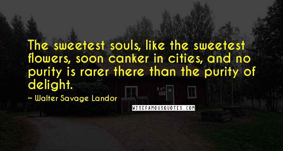 Walter Savage Landor Quotes: The sweetest souls, like the sweetest flowers, soon canker in cities, and no purity is rarer there than the purity of delight.