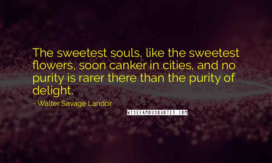 Walter Savage Landor Quotes: The sweetest souls, like the sweetest flowers, soon canker in cities, and no purity is rarer there than the purity of delight.