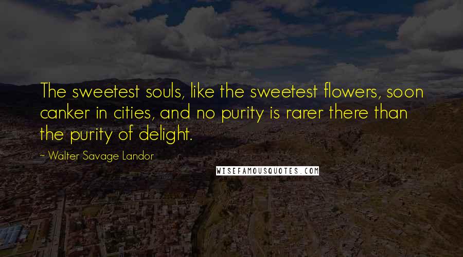 Walter Savage Landor Quotes: The sweetest souls, like the sweetest flowers, soon canker in cities, and no purity is rarer there than the purity of delight.