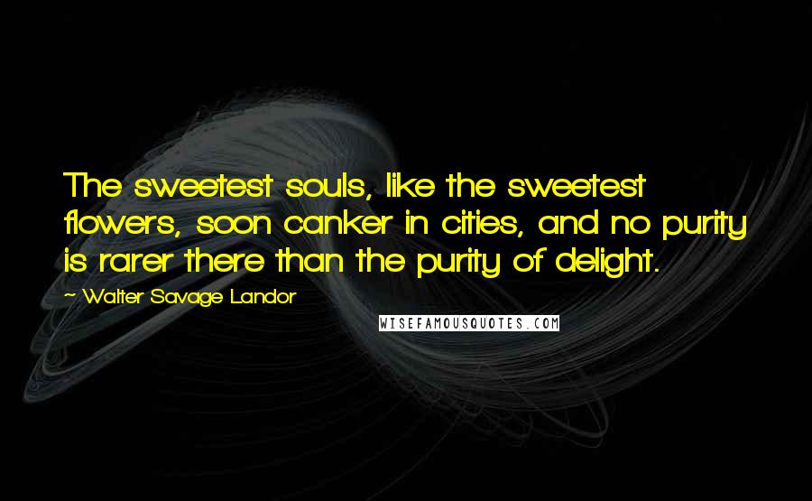 Walter Savage Landor Quotes: The sweetest souls, like the sweetest flowers, soon canker in cities, and no purity is rarer there than the purity of delight.