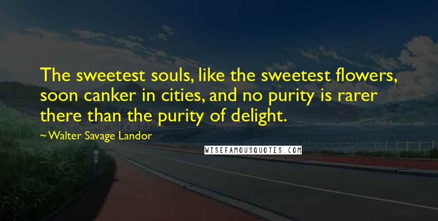 Walter Savage Landor Quotes: The sweetest souls, like the sweetest flowers, soon canker in cities, and no purity is rarer there than the purity of delight.