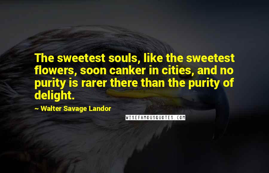 Walter Savage Landor Quotes: The sweetest souls, like the sweetest flowers, soon canker in cities, and no purity is rarer there than the purity of delight.