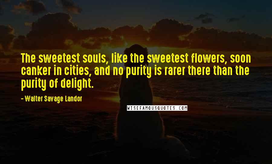 Walter Savage Landor Quotes: The sweetest souls, like the sweetest flowers, soon canker in cities, and no purity is rarer there than the purity of delight.