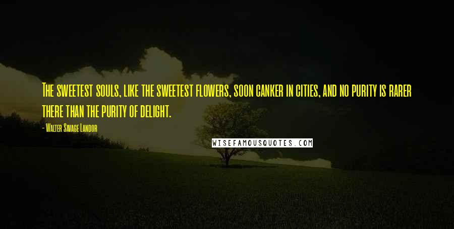 Walter Savage Landor Quotes: The sweetest souls, like the sweetest flowers, soon canker in cities, and no purity is rarer there than the purity of delight.