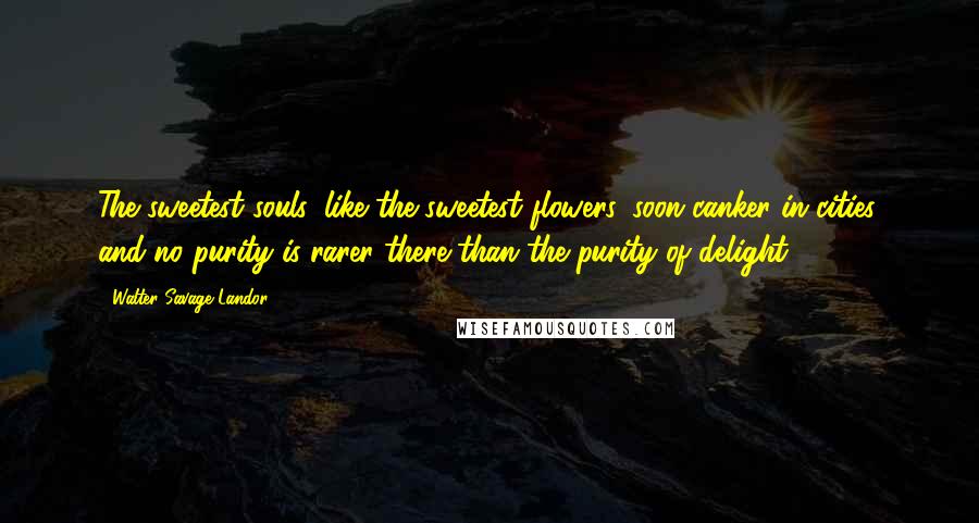 Walter Savage Landor Quotes: The sweetest souls, like the sweetest flowers, soon canker in cities, and no purity is rarer there than the purity of delight.