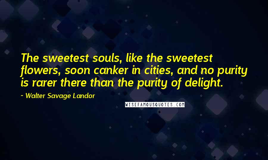 Walter Savage Landor Quotes: The sweetest souls, like the sweetest flowers, soon canker in cities, and no purity is rarer there than the purity of delight.