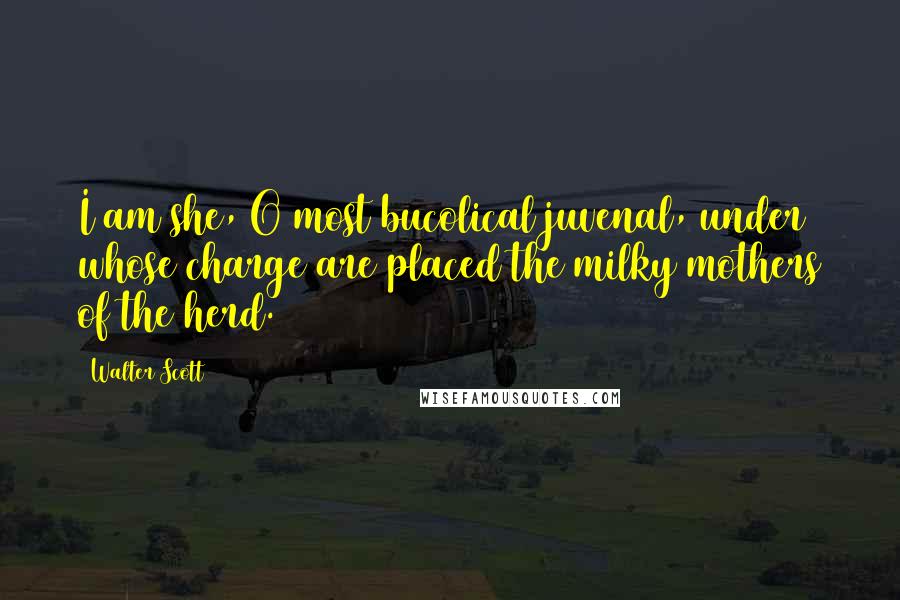 Walter Scott Quotes: I am she, O most bucolical juvenal, under whose charge are placed the milky mothers of the herd.