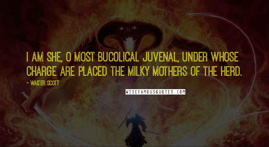 Walter Scott Quotes: I am she, O most bucolical juvenal, under whose charge are placed the milky mothers of the herd.