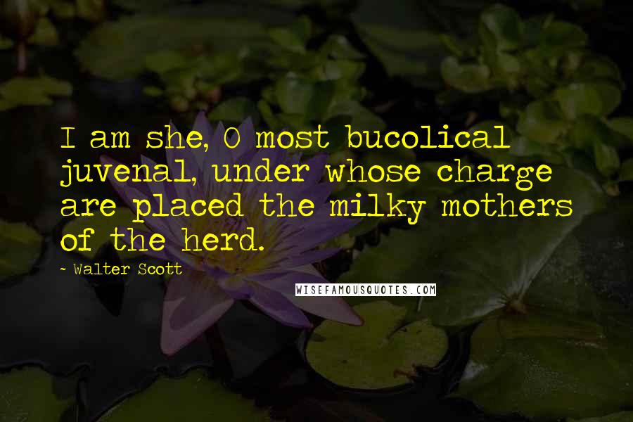 Walter Scott Quotes: I am she, O most bucolical juvenal, under whose charge are placed the milky mothers of the herd.