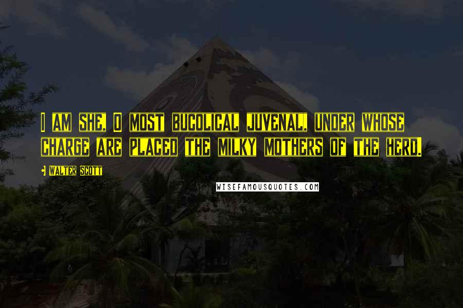 Walter Scott Quotes: I am she, O most bucolical juvenal, under whose charge are placed the milky mothers of the herd.