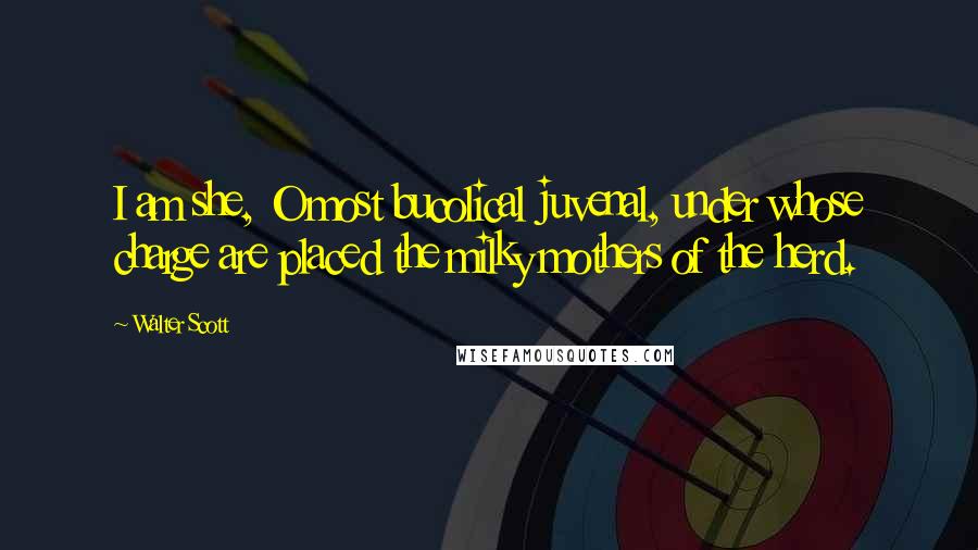 Walter Scott Quotes: I am she, O most bucolical juvenal, under whose charge are placed the milky mothers of the herd.