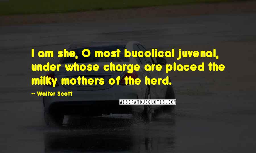 Walter Scott Quotes: I am she, O most bucolical juvenal, under whose charge are placed the milky mothers of the herd.