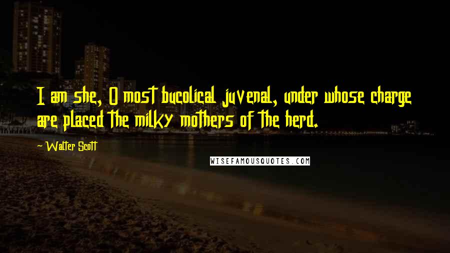 Walter Scott Quotes: I am she, O most bucolical juvenal, under whose charge are placed the milky mothers of the herd.