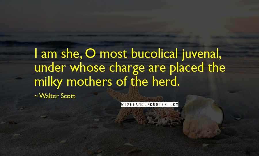 Walter Scott Quotes: I am she, O most bucolical juvenal, under whose charge are placed the milky mothers of the herd.