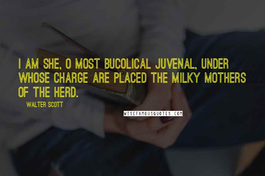 Walter Scott Quotes: I am she, O most bucolical juvenal, under whose charge are placed the milky mothers of the herd.